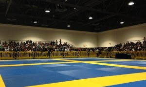 Bjj mat 300x180