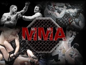 MMA Photo