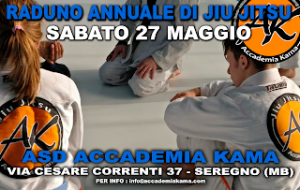 RadunoBJJ2017